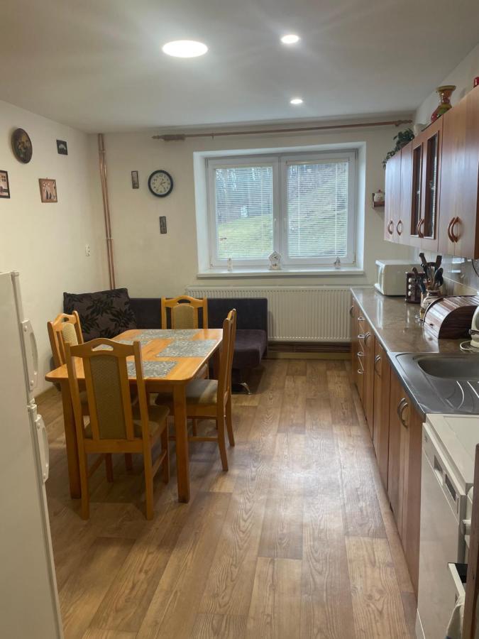 Apartmany Pod Chlumem 예세니크 외부 사진