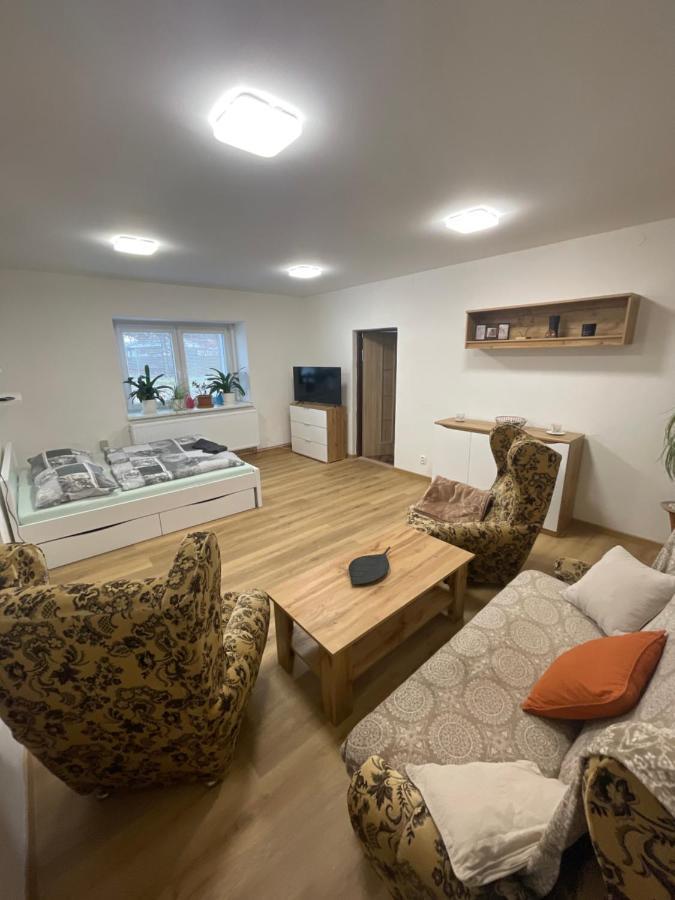 Apartmany Pod Chlumem 예세니크 외부 사진