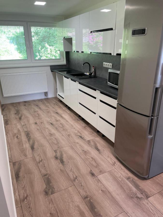 Apartmany Pod Chlumem 예세니크 외부 사진
